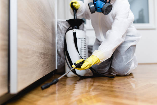 Best Bed Bug Extermination  in Lake Mack Forest Hills, FL
