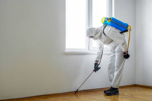 Best Flea Control Services  in Lake Mack Forest Hills, FL